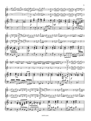 Concerto pour 2 Violons Op. 3 N° 8 Rv 522 en la Mineur - VIVALDI